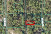 Undeveloped Land for sale in Marion County, Florida