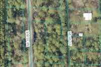 Undeveloped Land for sale in Marion County, Florida