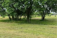 Undeveloped Land for sale in Grayson County, Texas