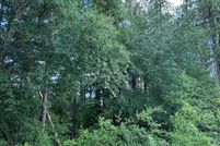 Property for sale in Wilcox County, Georgia