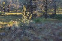 Property for sale in Crook County, Oregon