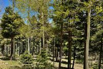 Undeveloped Land for sale in Colfax County, New Mexico