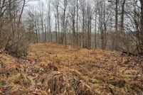 Undeveloped Land for sale in Wetzel County, West Virginia