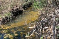 Undeveloped Land for sale in Mobile County, Alabama