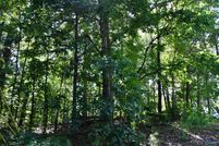 Undeveloped Land for sale in Etowah County, Alabama