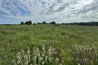 Undeveloped Land for sale in Van Zandt County, Texas
