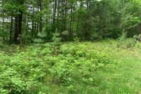 Undeveloped Land for sale in Lincoln County, Wisconsin