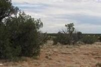 Property for sale in Navajo County, Arizona