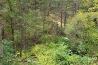 Undeveloped Land for sale in Trinity County, California