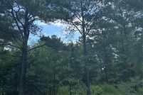 Undeveloped Land for sale in McCurtain County, Oklahoma