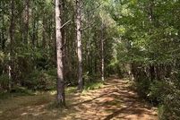 Undeveloped Land for sale in Wayne County, Mississippi