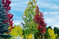 Property for sale in Navajo County, Arizona