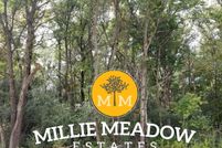 Property for sale in Olmsted County, Minnesota