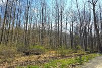 Undeveloped Land for sale in Stoddard County, Missouri
