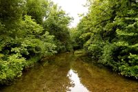 Property for sale in Sharp County, Arkansas