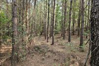Property for sale in Marion County, Alabama