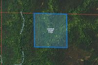Undeveloped Land for sale in Winston County, Alabama