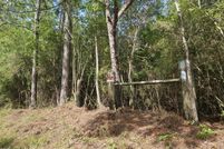 Undeveloped Land for sale in Stone County, Mississippi