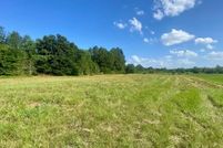 Undeveloped Land for sale in Anderson County, Texas