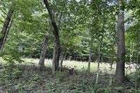 Property for sale in Marion County, West Virginia