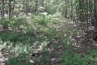 Property for sale in Chippewa County, Michigan