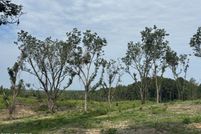 Property for sale in Clarke County, Mississippi