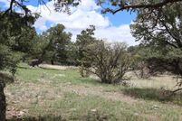 Property for sale in Catron County, New Mexico