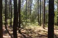 Undeveloped Land for sale in Lincoln County, Georgia