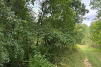 Undeveloped Land for sale in Osceola County, Michigan