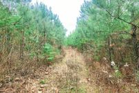 Undeveloped Land for sale in Nevada County, Arkansas