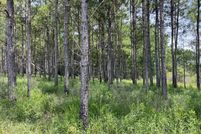 Property for sale in George County, Mississippi