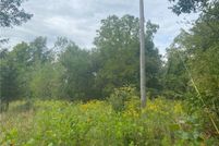 Undeveloped Land for sale in Lorain County, Ohio