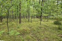 Lakefront Property for sale in Isabella County, Michigan
