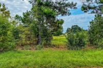 Undeveloped Land for sale in Henderson County, Texas