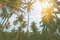 Property for sale in Miami-Dade County, Florida