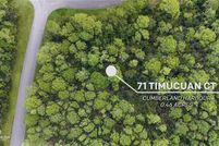 Undeveloped Land for sale in Camden County, Georgia