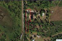 Undeveloped Land for sale in Osceola County, Florida