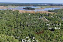 Undeveloped Land for sale in Georgetown County, South Carolina