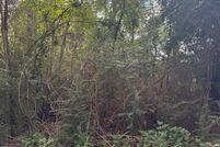 Property for sale in Rusk County, Texas