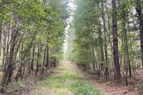 Undeveloped Land for sale in Tuscaloosa County, Alabama