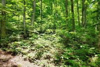 Property for sale in Swain County, North Carolina
