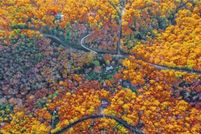 Property for sale in Gordon County, Georgia