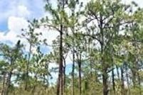 Property for sale in Polk County, Florida