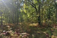 Property for sale in Clare County, Michigan