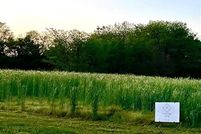 Property for sale in Louisa County, Iowa