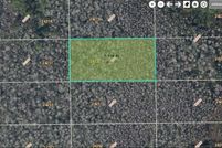 Undeveloped Land for sale in Orange County, Florida