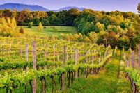 Property for sale in Charlottesville City County, Virginia