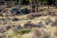 Property in Jefferson County, Colorado