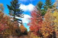 Undeveloped Land for sale in Marquette County, Michigan
