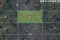 Undeveloped Land for sale in Orange County, Florida